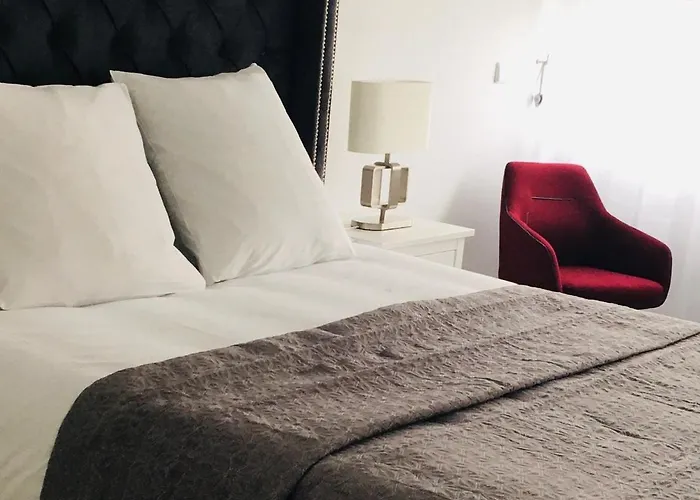 Magnifique Appartement Au Coeur De Nancy